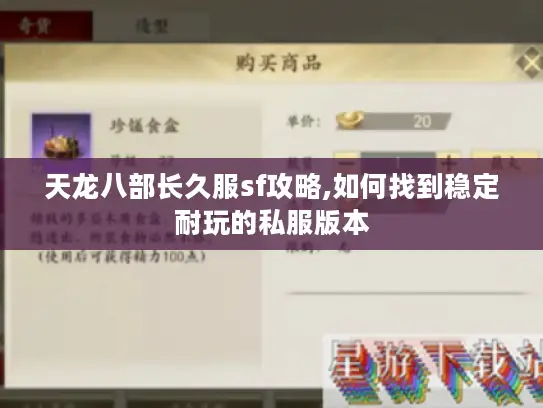 天龙八部长久服sf攻略,如何找到稳定耐玩的私服版本