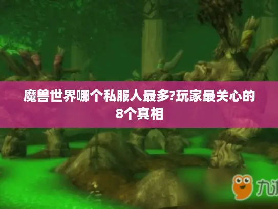 魔兽世界哪个私服人最多?玩家最关心的8个真相