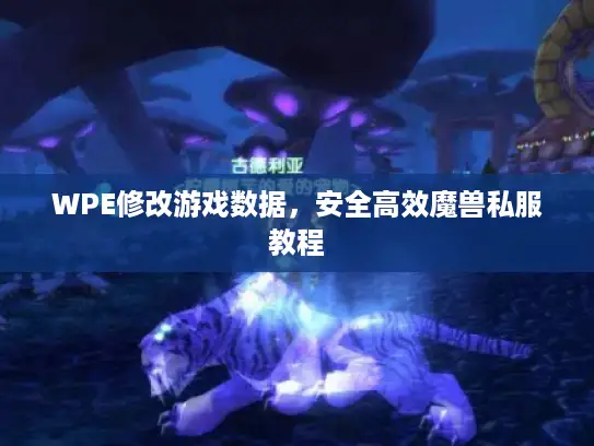 WPE修改游戏数据，安全高效魔兽私服教程