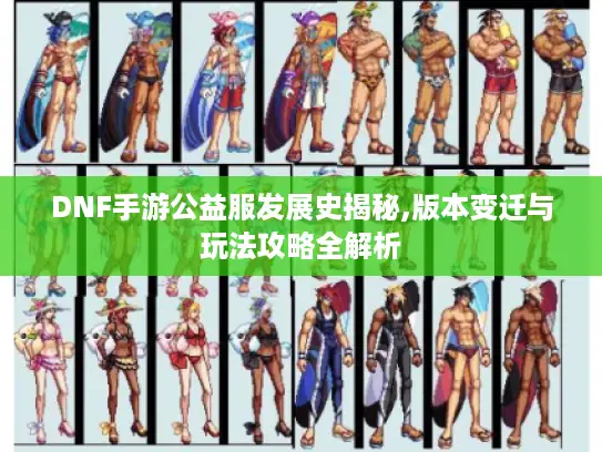 DNF手游公益服发展史揭秘,版本变迁与玩法攻略全解析
