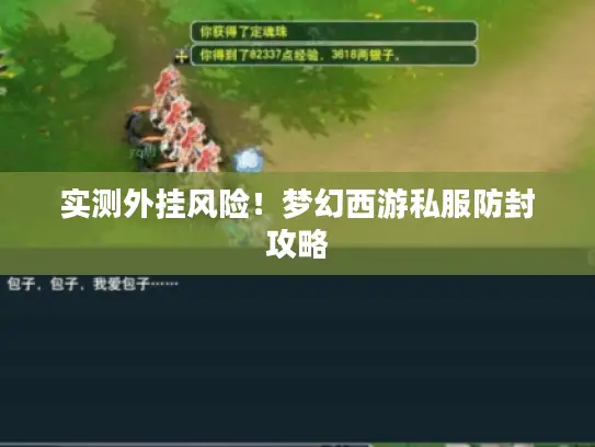实测外挂风险！梦幻西游私服防封攻略