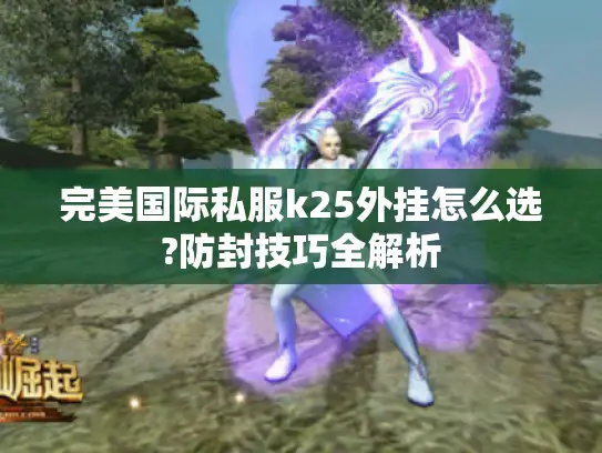 完美国际私服k25外挂怎么选?防封技巧全解析