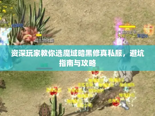 资深玩家教你选魔域暗黑修真私服，避坑指南与攻略