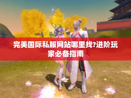 完美国际私服网站哪里找?进阶玩家必备指南