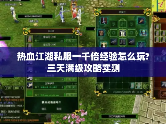 热血江湖私服一千倍经验怎么玩?三天满级攻略实测