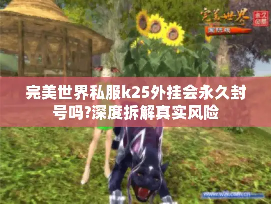 完美世界私服k25外挂会永久封号吗?深度拆解真实风险