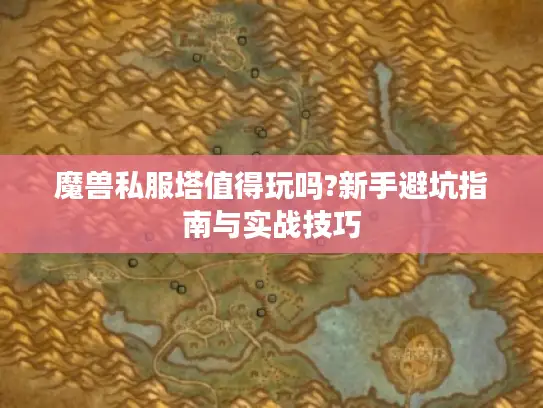 魔兽私服塔值得玩吗?新手避坑指南与实战技巧