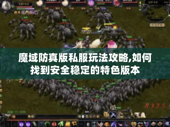 魔域防真版私服玩法攻略,如何找到安全稳定的特色版本
