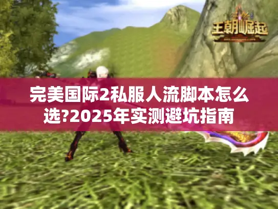 完美国际2私服人流脚本怎么选?2025年实测避坑指南