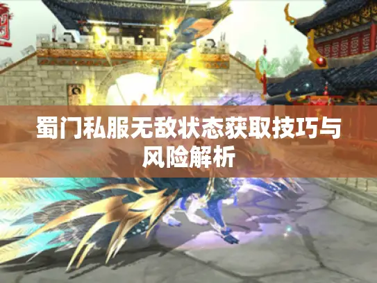 蜀门私服无敌状态获取技巧与风险解析 蜀门私服无敌状态获取技巧与风险解析
