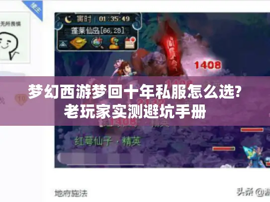 梦幻西游梦回十年私服怎么选?老玩家实测避坑手册
