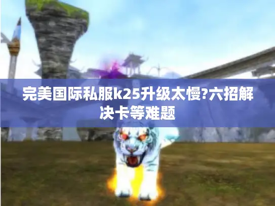 完美国际私服k25升级太慢?六招解决卡等难题