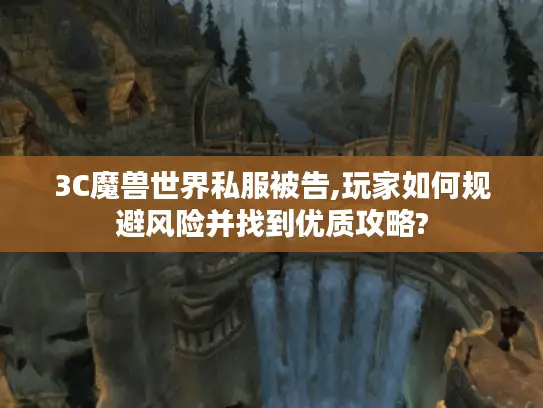 3C魔兽世界私服被告,玩家如何规避风险并找到优质攻略?