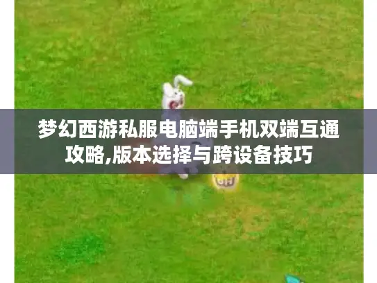 梦幻西游私服电脑端手机双端互通攻略,版本选择与跨设备技巧
