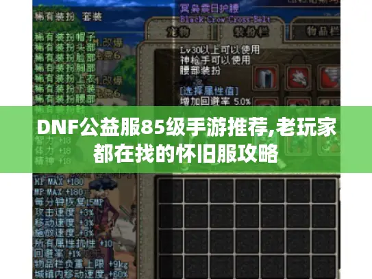 DNF公益服85级手游推荐,老玩家都在找的怀旧服攻略 DNF公益服85级手游推荐,老玩家都在找的怀旧服攻略