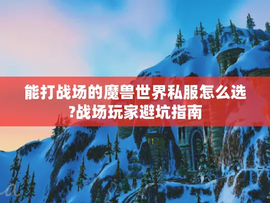 能打战场的魔兽世界私服怎么选?战场玩家避坑指南 能打战场的魔兽世界私服怎么选?战场玩家避坑指南