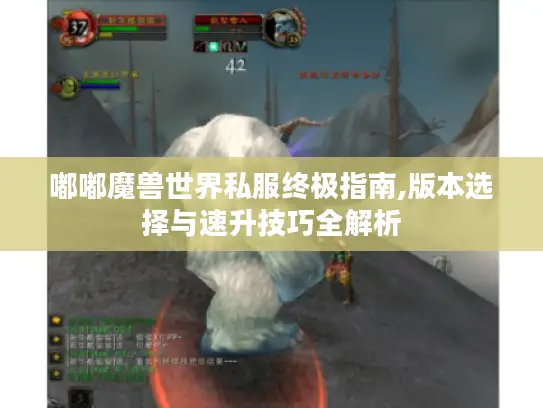 嘟嘟魔兽世界私服终极指南,版本选择与速升技巧全解析