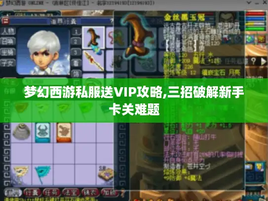 梦幻西游私服送VIP攻略,三招破解新手卡关难题