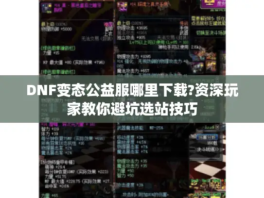 DNF变态公益服哪里下载?资深玩家教你避坑选站技巧