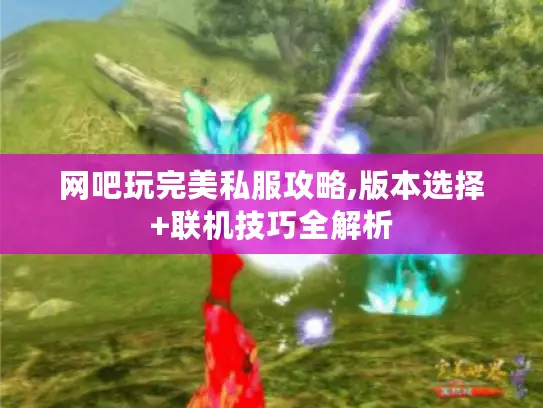 网吧玩完美私服攻略,版本选择+联机技巧全解析