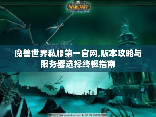 魔兽世界私服第一官网,版本攻略与服务器选择终极指南
