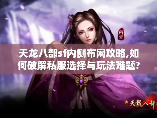 天龙八部sf内侧布网攻略,如何破解私服选择与玩法难题?