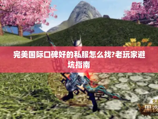 完美国际口碑好的私服怎么找?老玩家避坑指南