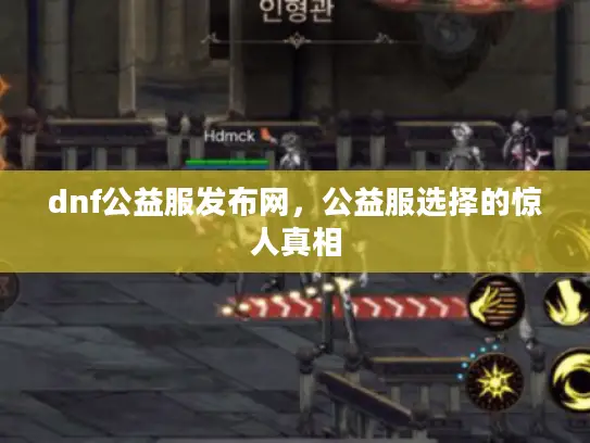 dnf公益服发布网，公益服选择的惊人真相