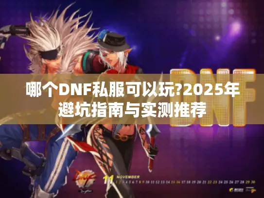 哪个DNF私服可以玩?2025年避坑指南与实测推荐