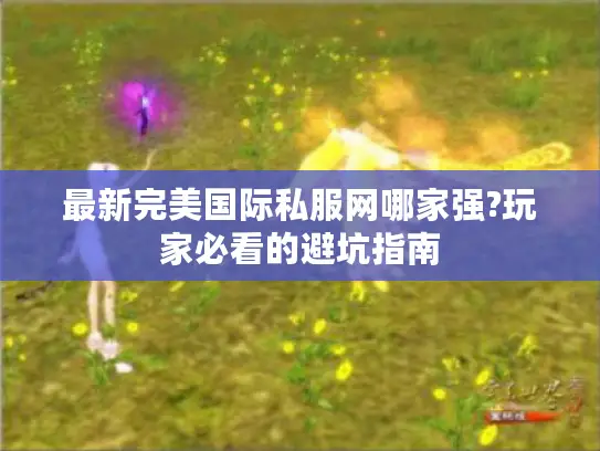 最新完美国际私服网哪家强?玩家必看的避坑指南 最新完美国际私服网哪家强?玩家必看的避坑指南