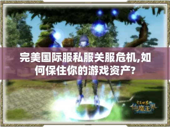 完美国际服私服关服危机,如何保住你的游戏资产? 完美国际服私服关服危机,如何保住你的游戏资产?
