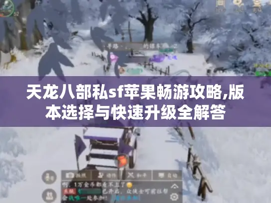 天龙八部私sf苹果畅游攻略,版本选择与快速升级全解答