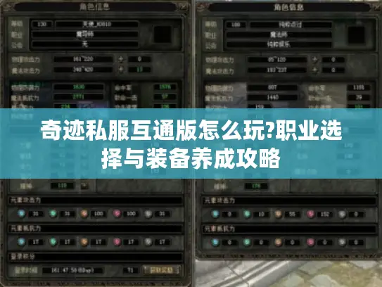 奇迹私服互通版怎么玩?职业选择与装备养成攻略 奇迹私服互通版怎么玩?职业选择与装备养成攻略