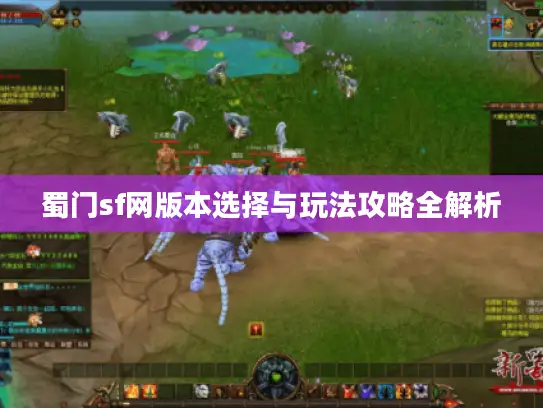 蜀门sf网版本选择与玩法攻略全解析