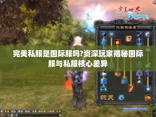 完美私服是国际服吗?资深玩家揭秘国际服与私服核心差异