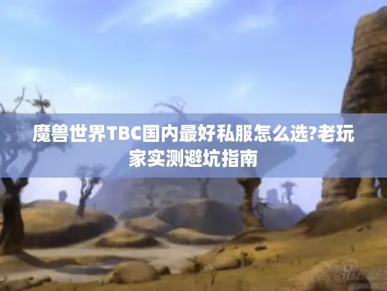 魔兽世界TBC国内最好私服怎么选?老玩家实测避坑指南