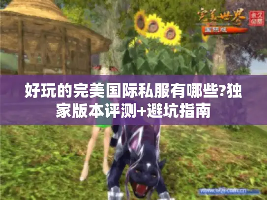 好玩的完美国际私服有哪些?独家版本评测+避坑指南 好玩的完美国际私服有哪些?独家版本评测+避坑指南