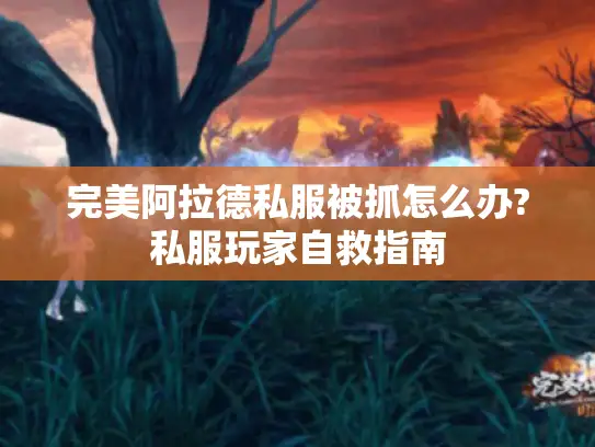 完美阿拉德私服被抓怎么办?私服玩家自救指南