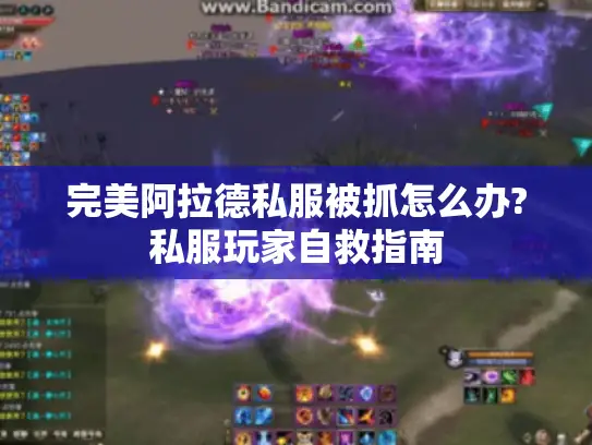 完美阿拉德私服被抓怎么办?私服玩家自救指南