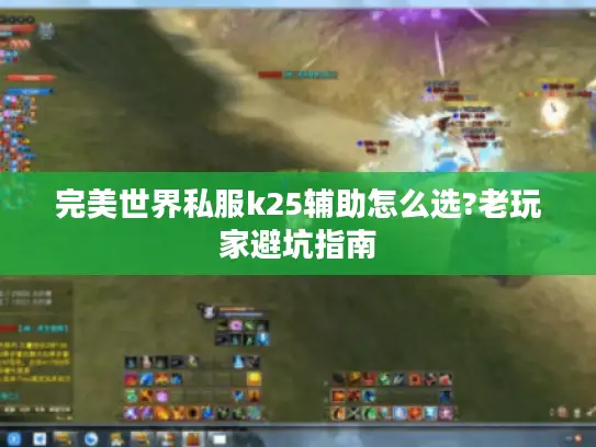 完美世界私服k25辅助怎么选?老玩家避坑指南
