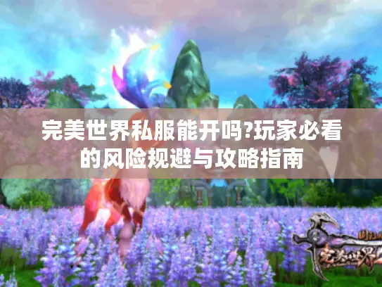 完美世界私服能开吗?玩家必看的风险规避与攻略指南