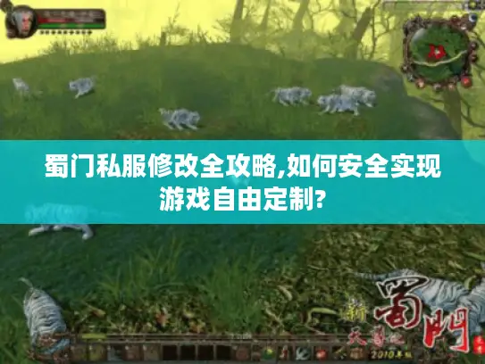 蜀门私服修改全攻略,如何安全实现游戏自由定制?