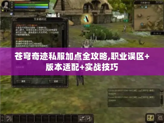 苍穹奇迹私服加点全攻略,职业误区+版本适配+实战技巧