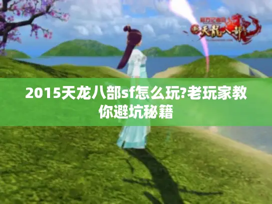 2015天龙八部sf怎么玩?老玩家教你避坑秘籍 2015天龙八部sf怎么玩?老玩家教你避坑秘籍