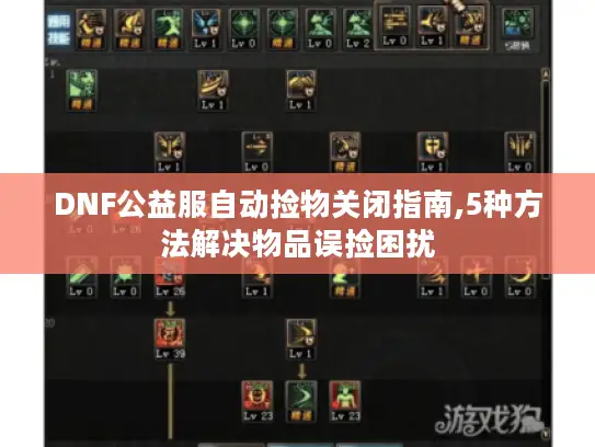 DNF公益服自动捡物关闭指南,5种方法解决物品误捡困扰