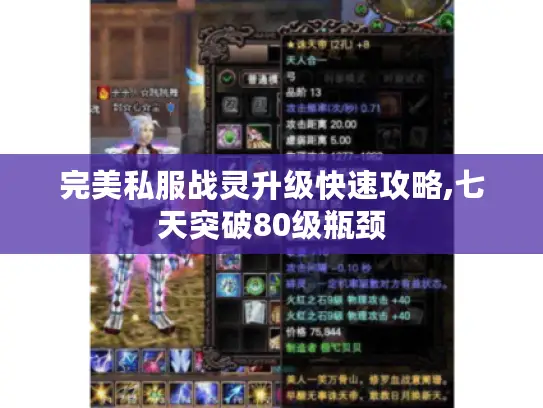 完美私服战灵升级快速攻略,七天突破80级瓶颈