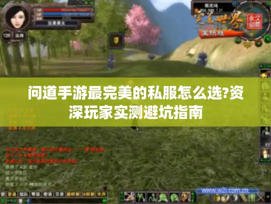 问道手游最完美的私服怎么选?资深玩家实测避坑指南 问道手游最完美的私服怎么选?资深玩家实测避坑指南