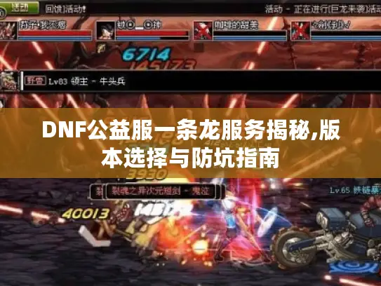 DNF公益服一条龙服务揭秘,版本选择与防坑指南 DNF公益服一条龙服务揭秘,版本选择与防坑指南