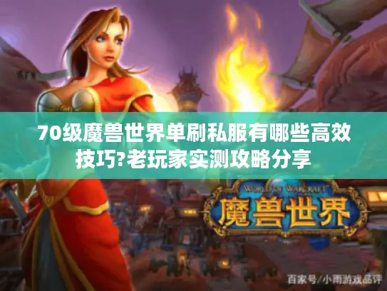 70级魔兽世界单刷私服有哪些高效技巧?老玩家实测攻略分享