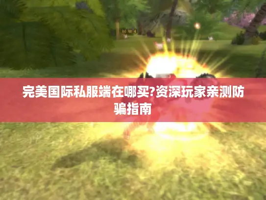 完美国际私服端在哪买?资深玩家亲测防骗指南 完美国际私服端在哪买?资深玩家亲测防骗指南